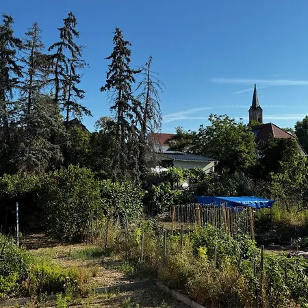Casa Sonja - Fuchshoehle Erpolzheim